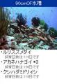 海水魚紹介ブログパーツ