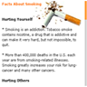 Stop Smoking Widget